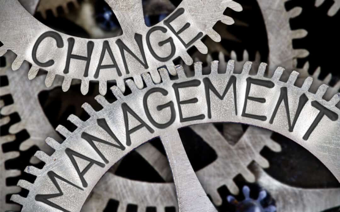 Change Manager Challenges